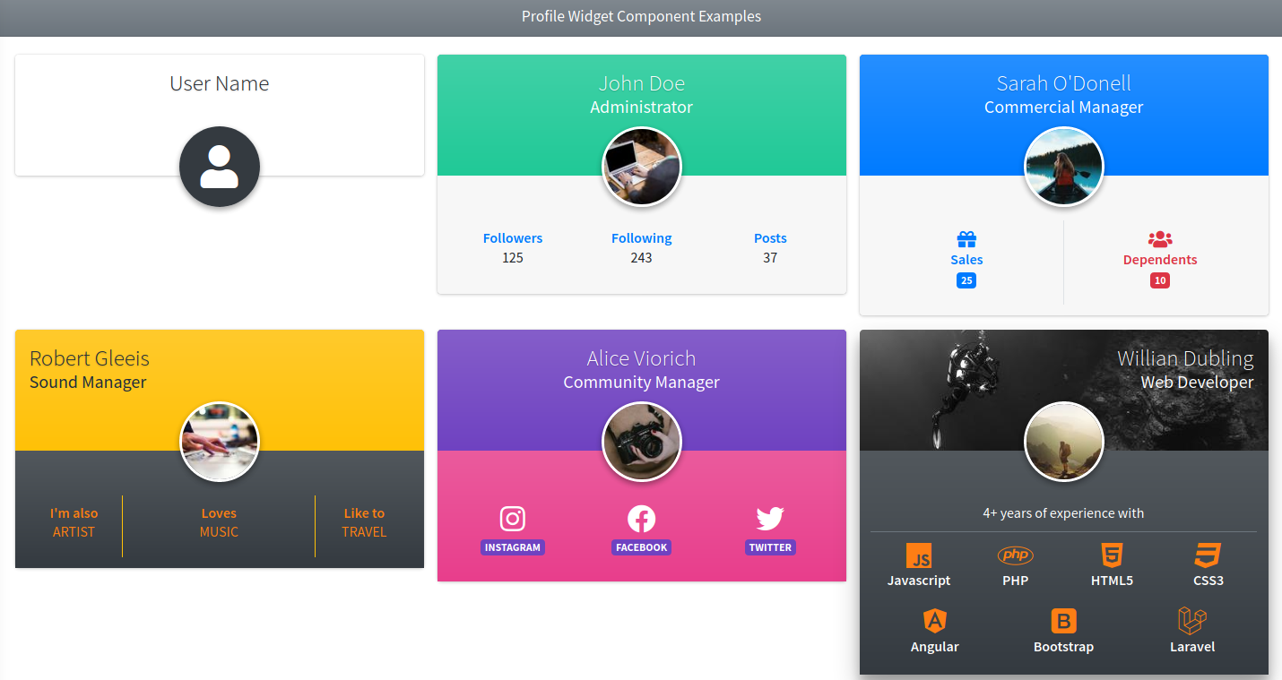 Profile Widget Component Modern